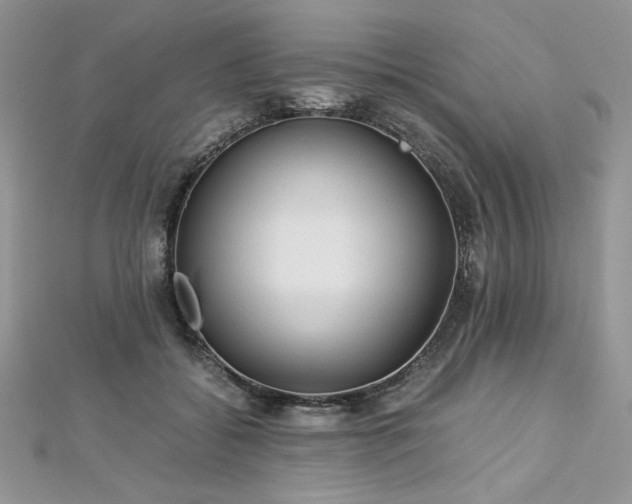 X0000113140556200909041211