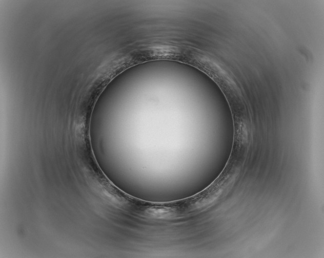 X0000113140557200909041211