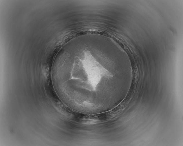 X0000113140559200909041211