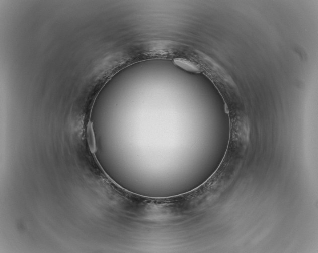 X0000113140560200909041211