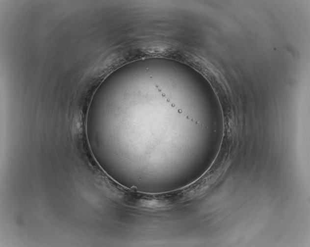 X0000113140561200909041211