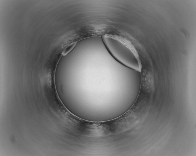 X0000113140562200909041211