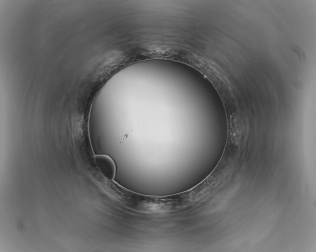 X0000113140563200909041211