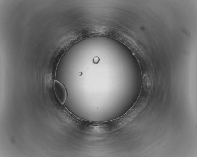 X0000113140564200909041211