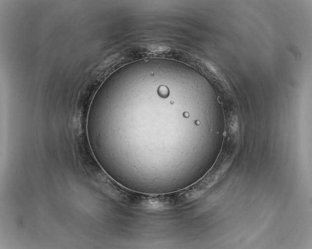 X0000113140565200909041211