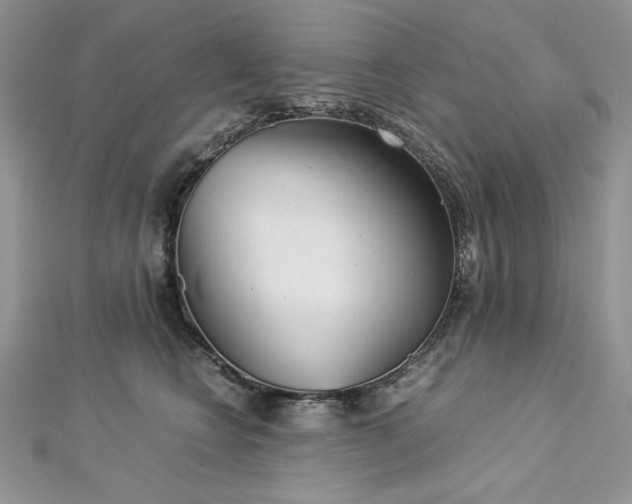 X0000113140566200909041211