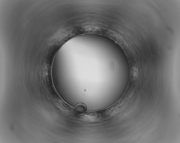 X0000113140567200909041211