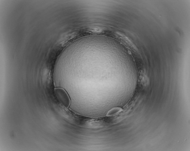 X0000113140568200909041211