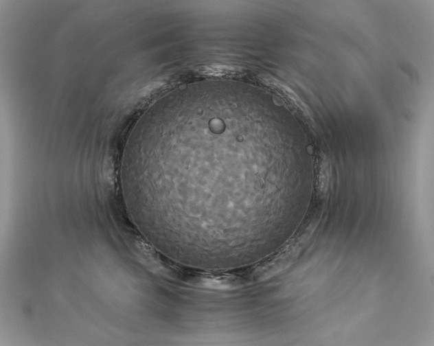 X0000113140569200909041211