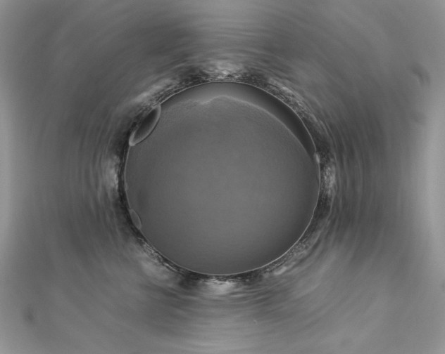 X0000113140570200909041211