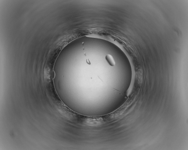 X0000113140571200909041211