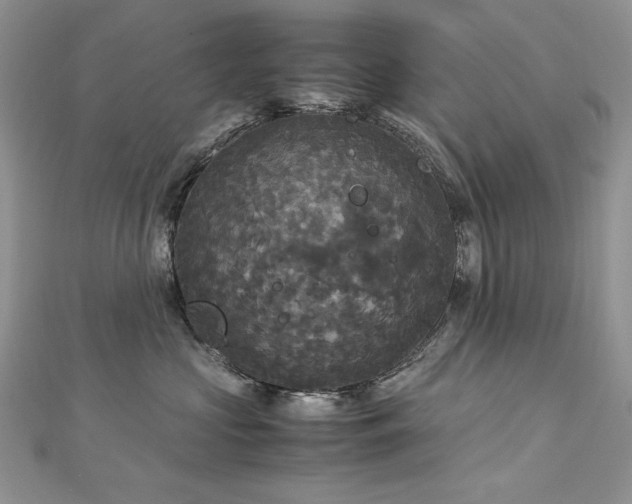 X0000113140573200909041211