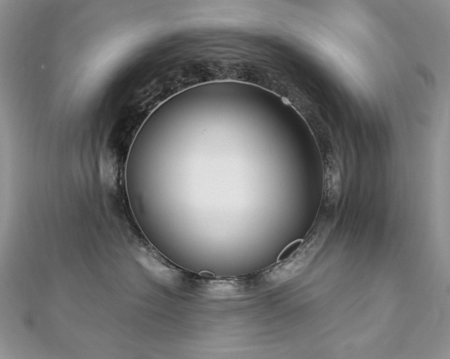 X0000113140574200909041211