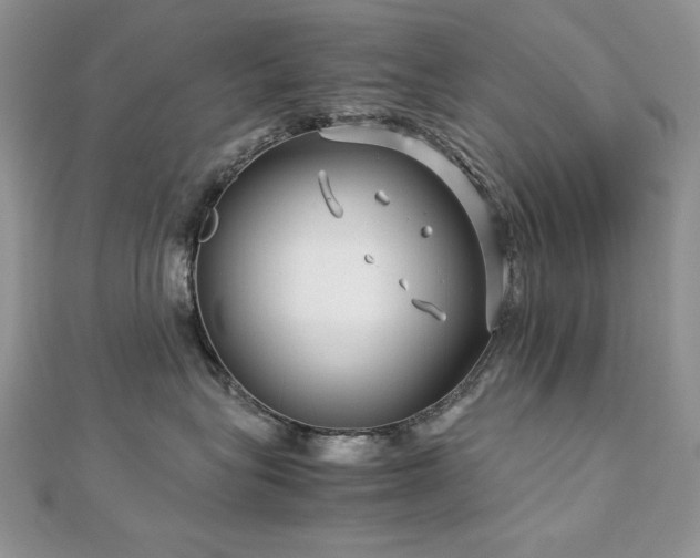 X0000113140575200909041211