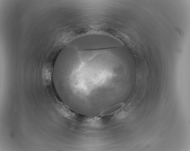 X0000113140576200909041211