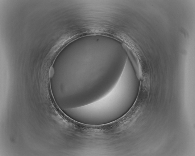X0000113140577200909041210