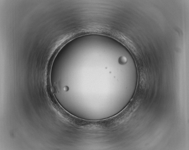 X0000113140578200909041210