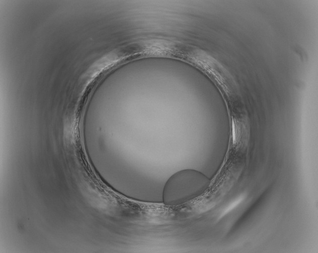 X0000113140579200909041210