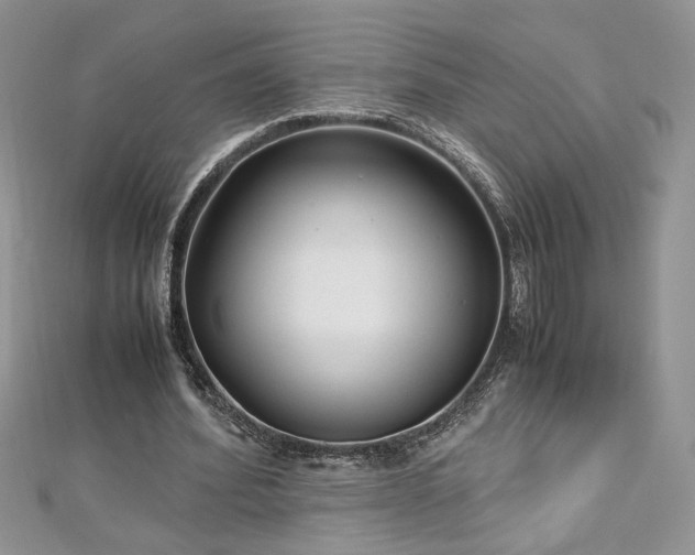 X0000113140580200909041210