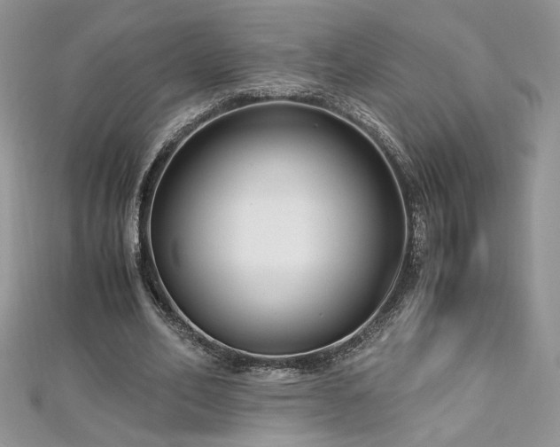 X0000113140582200909041210