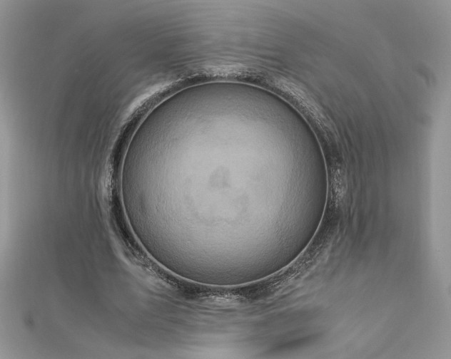 X0000113140583200909041210