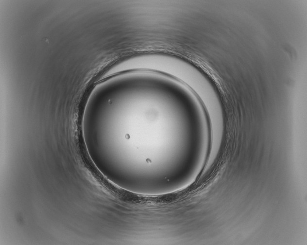 X0000113140585200909041210