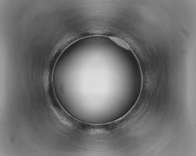 X0000113140586200909041210