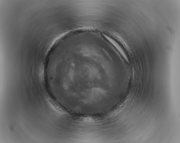 X0000113140588200909041210