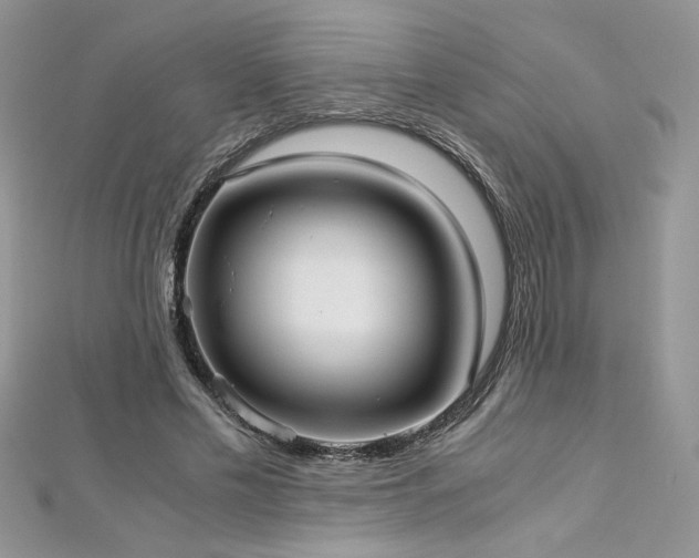 X0000113140589200909041210