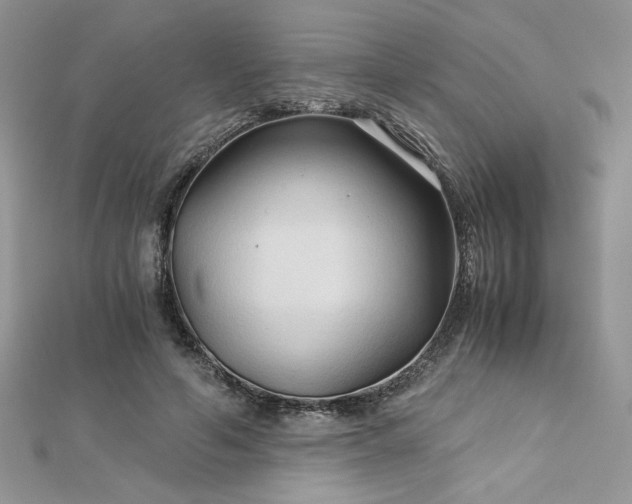 X0000113140594200909041210