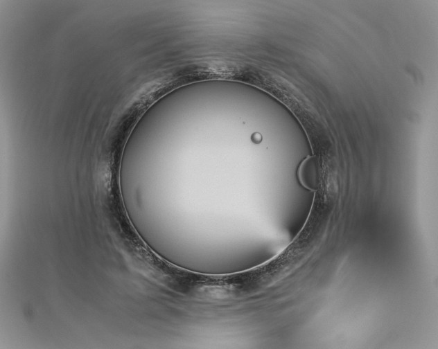 X0000113140595200909041210