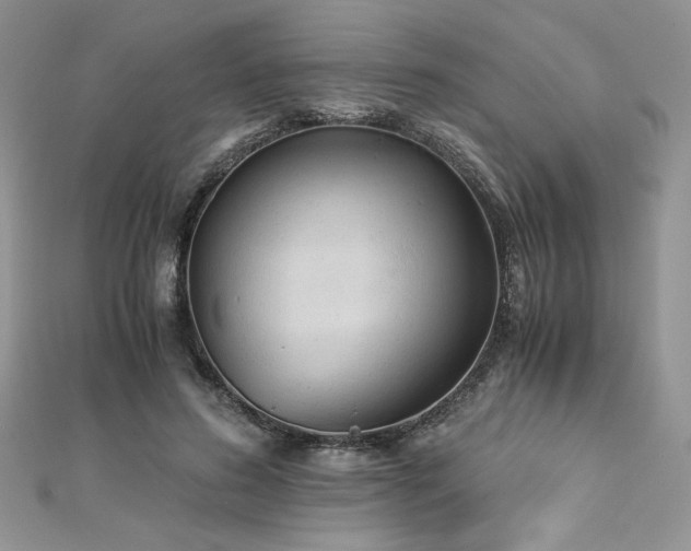 X0000113140596200909041210