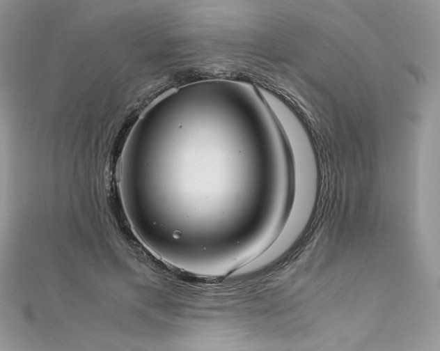 X0000113140597200909041210