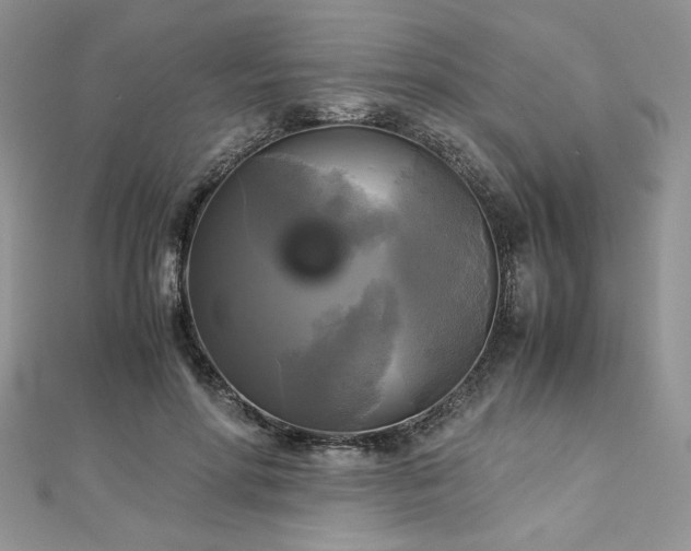 X0000113140598200909041210
