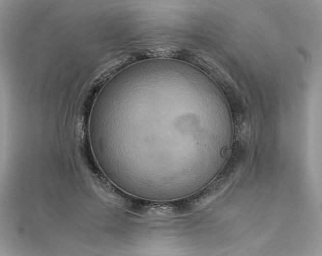 X0000113140599200909041210