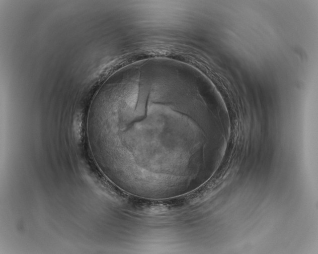 X0000113140600200909041210