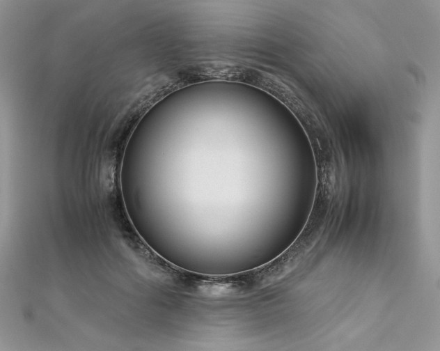 X0000113140602200909041210