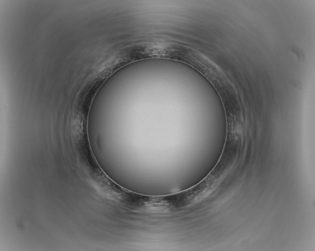 X0000113140603200909041210