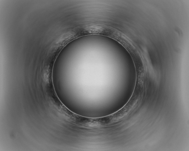 X0000113140604200909041210