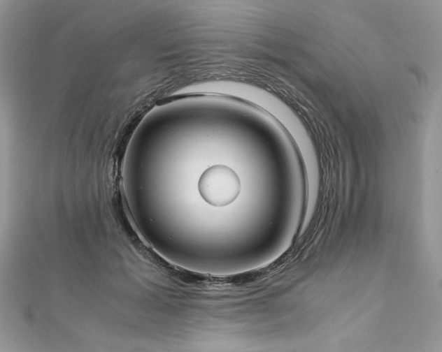 X0000113140605200909041210