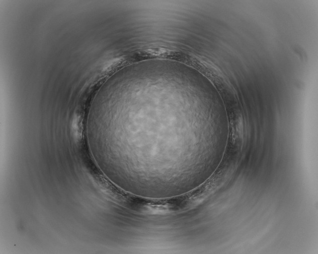 X0000113140606200909041210