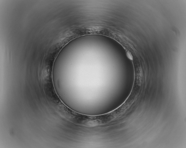 X0000113140608200909041210