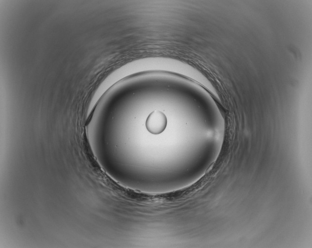 X0000113140609200909041210