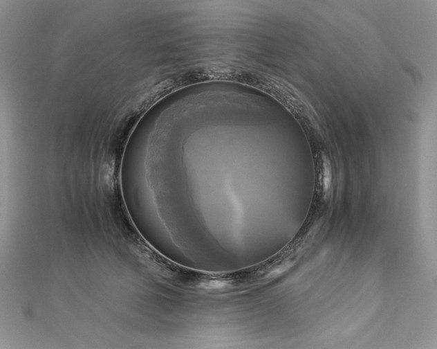 X0000113140610200909041210