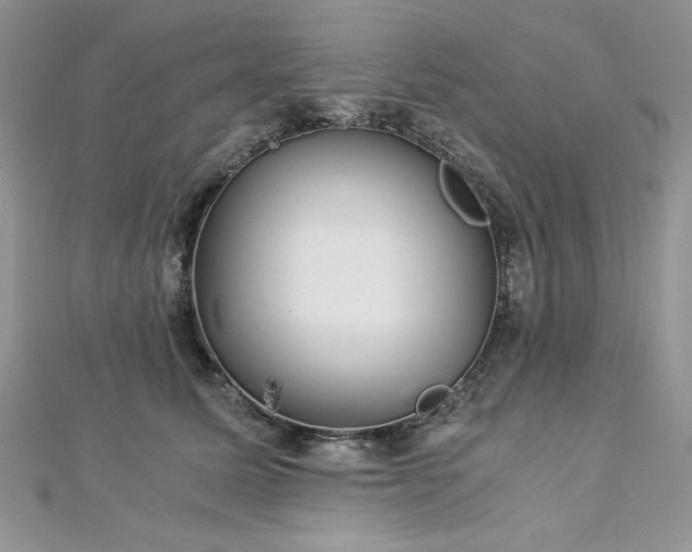 X0000113140611200909041210
