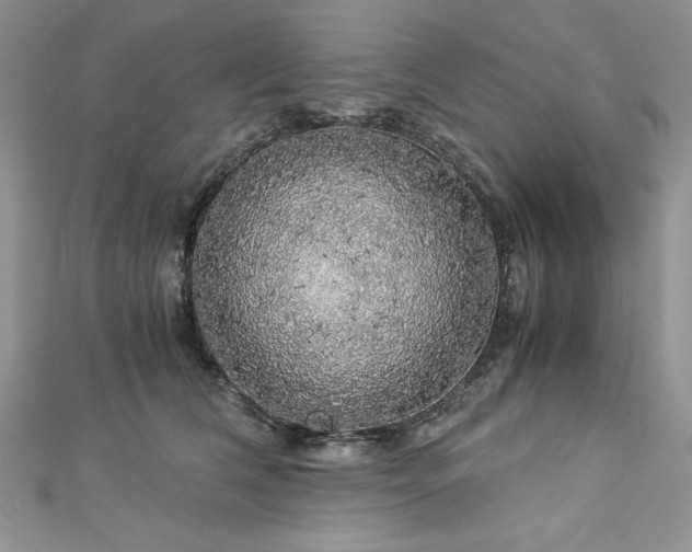 X0000113140612200909041210