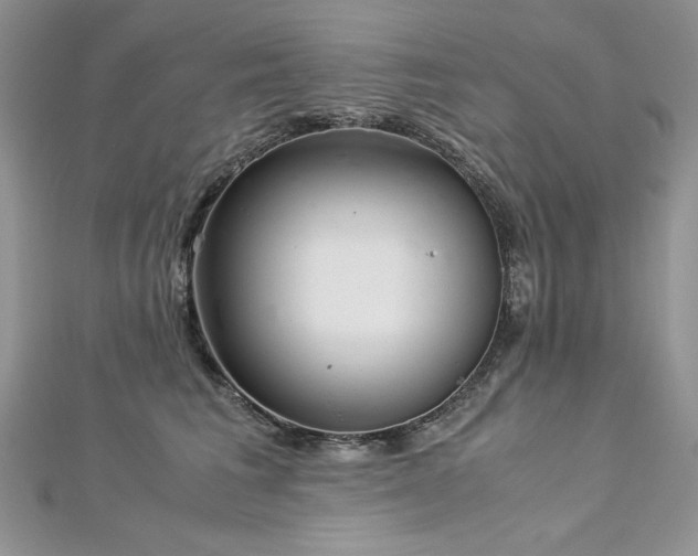 X0000113140613200909041210