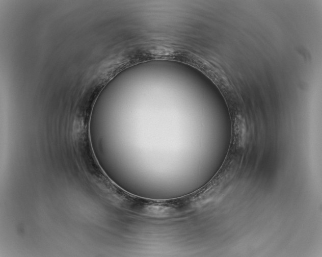 X0000113140614200909041210