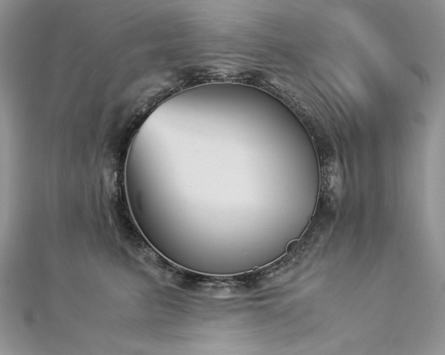 X0000113140615200909041210