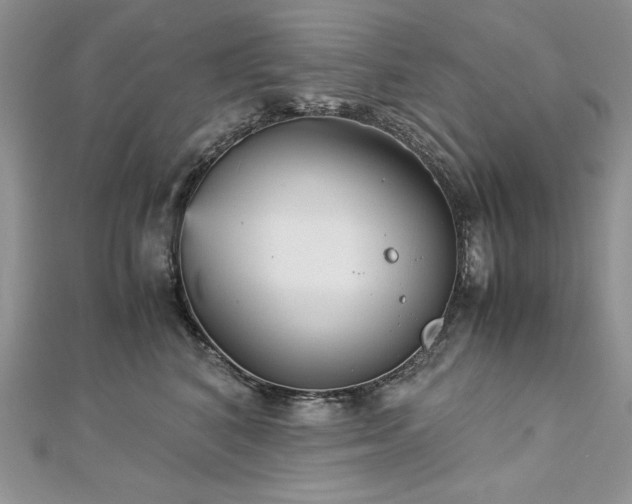 X0000113140616200909041210